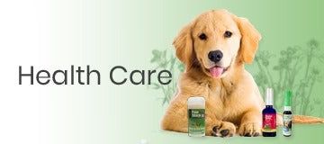Pet Health & Wellness