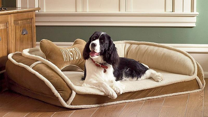 Pet Beds & Comfort