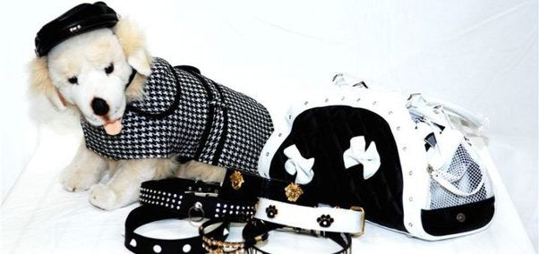 Pet Apparel & Accessories